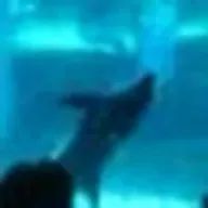 Beeさんのアイコン画像