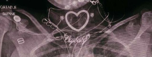 🎀さんの壁紙画像