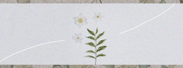 海奈☽︎‪︎.*·̩͙‬さんの壁紙画像