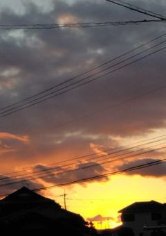 好きになってよ！