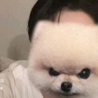 壁さんのアイコン画像