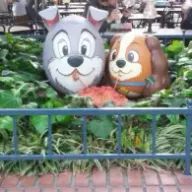 みぃさんのアイコン画像