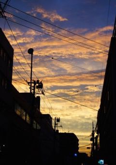 総統になった人は前世は無能《完結》