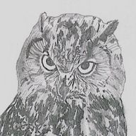 アライグマくん❄️🐺さんのアイコン画像