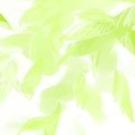 RII 。さんのアイコン画像