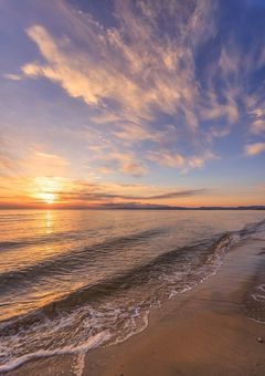 〜お友達探し〜