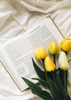 真 面 目 く ん と 問 題 児 の 私 。