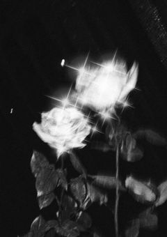 君に襲われたい .