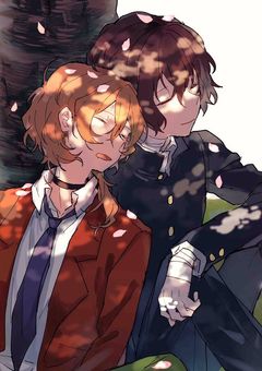 鏡の国の裏表アリスさん【文スト学園】