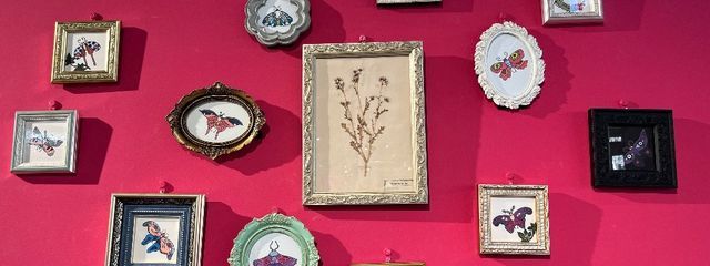 双葉さんの壁紙画像