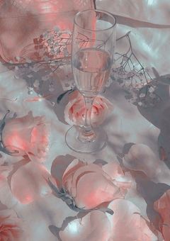  𝘔𝘺 𝘱𝘳𝘦𝘤𝘪𝘰𝘶𝘴