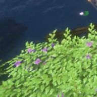 ANOさんのアイコン画像