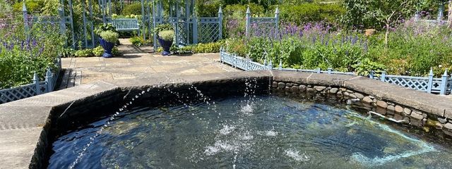 白🪷さんの壁紙画像