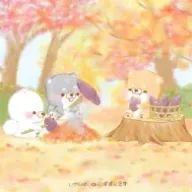 美久さんのアイコン画像