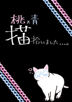 〖 猫 〗拾いました . . . ෆ‪