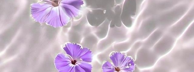 塩きゃらめる🪼‪さんの壁紙画像