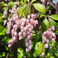 元素記号Nさんのアイコン画像