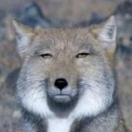 ナユタ#アイコン変えたさんのアイコン画像