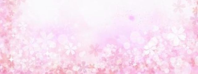 桜姫さんの壁紙画像