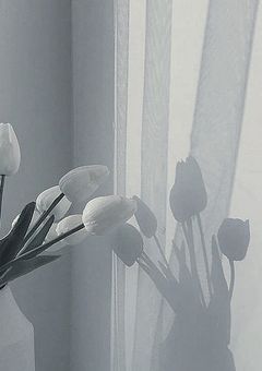 【勉強記録】怠惰が学年1位を目指す話　ᝰ✍🏻  ̖́-