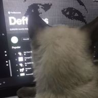 ぱんさんのアイコン画像