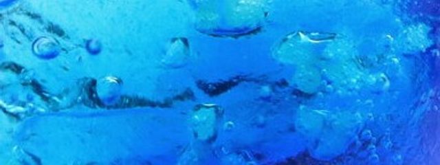 雪猫さんの壁紙画像