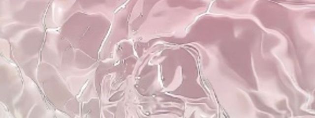 うにさんの壁紙画像