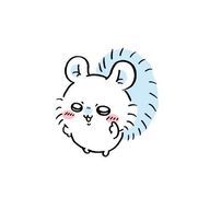 瑠璃さんのアイコン画像