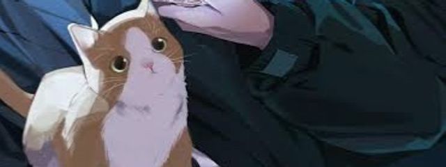 琴音🍥🐱さんの壁紙画像