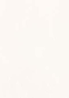 俺の虎 ®️ 🍩Tae Tae's kitchen しーさまドーナツ監修作品🍩