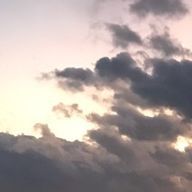 れい🌹さんのアイコン画像