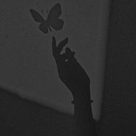 ♛︎♕☾·̩͙🥀🕊♛︎♕さんのアイコン画像