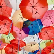 umbrella☂️さんのアイコン画像