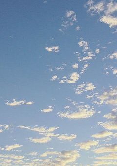 東卍のあいつはまさかの男?!