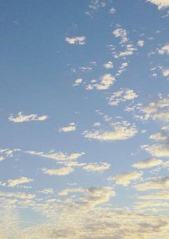 学年一番地味なあの子は最近噂の美人さん