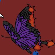 常世蝶さんのアイコン画像