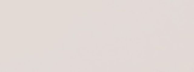 おもちさんの壁紙画像