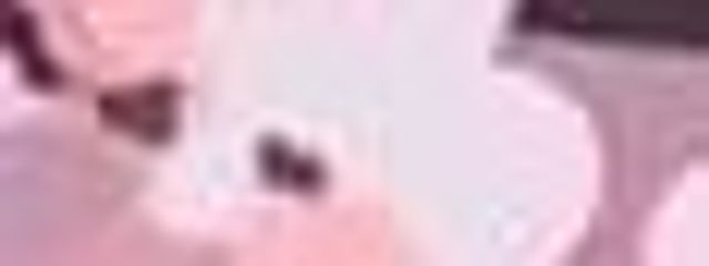 鶴丸🎌さんの壁紙画像