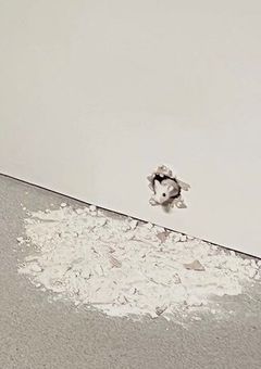 ぺんた