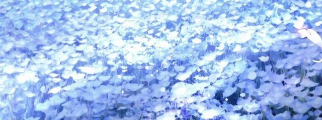 NRさんの壁紙画像