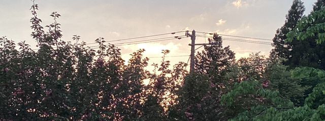 苺茶さんの壁紙画像