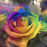 未蕾 ( みらい )さんのアイコン画像