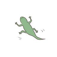 🦎💞さんのアイコン画像