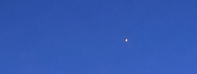 ひなさんの壁紙画像