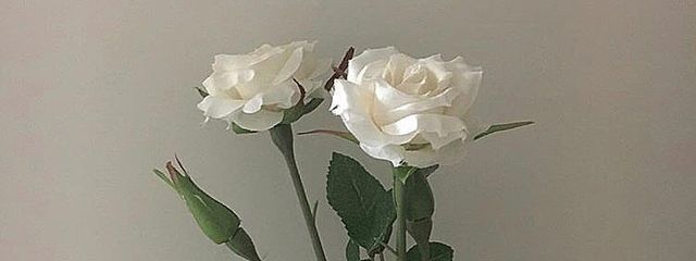 梳 欏さんの壁紙画像