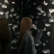 三 水 .さんのアイコン画像