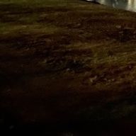 xtciEviydさんのアイコン画像