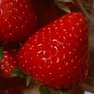 阿鐘想良さんのアイコン画像