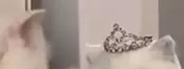 ︎︎︎︎︎︎ め る   👧🏻♡ さんの壁紙画像