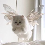 も ん れさんのアイコン画像